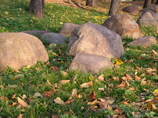 large stones and boulders with fallen leaves around in city part during autumn. nature, seasonal