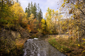Mill creek with foamed water after arain