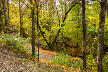 Mill creek ravine park in fall with yellow leaves on trees