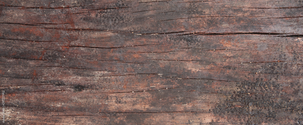 Wall mural Rough old wooden plank texture