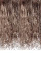 Long damaged straight brown hair isolated on white background