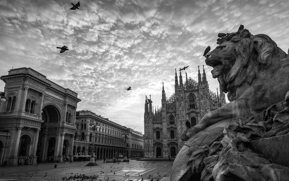 milano piazza duomo cathedral galleria and lion monument at sunrise cloudy sky black and white no people