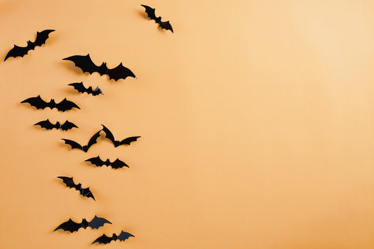 Top view of Halloween crafts, black paper bats flying over orange background with copy space for text. halloween concept.