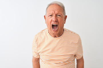 Senior grey-haired man wearing striped t-shirt standing over isolated white background angry and...