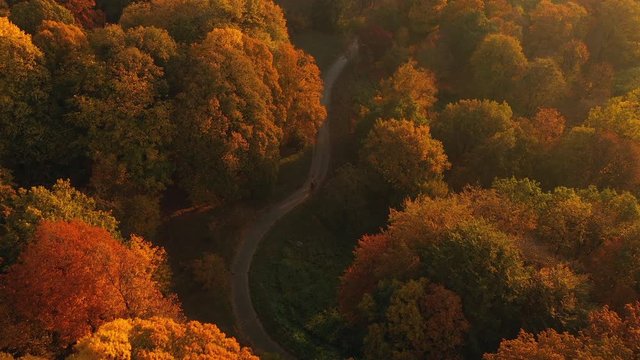 4K Aerial view flying over autumn city park early in the morning