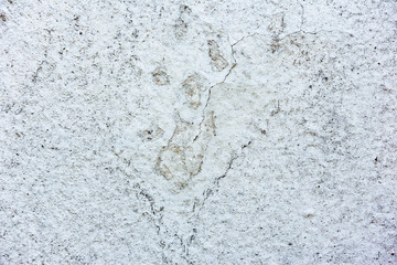 Texture of a concrete wall with cracks and scratches which can be used as a background