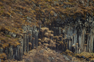 Basalt rock formations and lava columns of Svartifoss waterfall in Skaftafell, Vatnajökull National Park, in Iceland