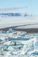 Fototapeta na wymiar Tongue of the Breiðamerkurjökull glacier as it retreats into glacier lagoon Jökulsárlón leaving floating icebergs (Vatnajökull National Park in Iceland)