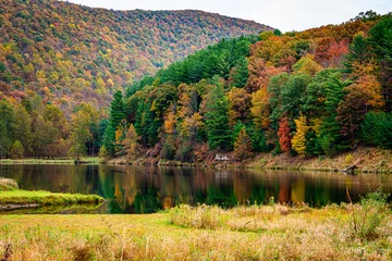 Fotobehang Beautiful Fall Foliage In the Mountains of Pennsylvania © David