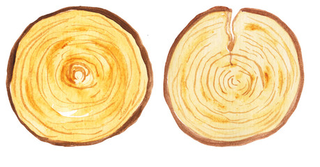 two wooden cuts and rings. watercolor wooden round saw cuts on a white background. Sawed circles of brown tree, round natural floral background for prints, design.
