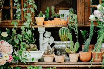 Here, you can see a variety of cactus plants in a variety of pots. And a cubic statue embracing cement-Roman columns