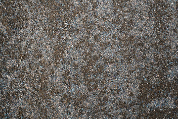 The texture of a shallow river stone. Pebble Background Image