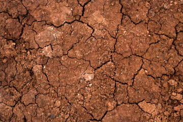 Texture of dried cracked clay. Macro background image of dried clay
