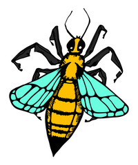 Honey bee vintage vector drawing. Hand drawn isolated insect sketch. Color illustrations. Great for logo, icon, label, packaging design.