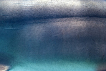 Shark leather background, sharp points on a grey skin - Powered by Adobe