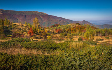 Fototapeta na wymiar A colorful mountain valley autumn landscape view with some green grass, bushes, and trees in the foreground, a mountain ridge in the background, and clear blue sky above