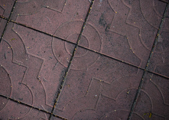 Texture of paving slabs overgrown with grass. Background image of a stratum stone