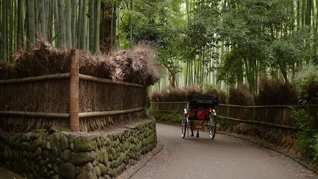 Japanese traditional rickshaw