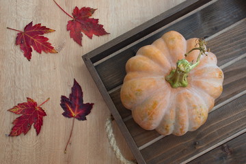 Directly above shot of pumpkin in wooden box with autumn leaves on wooden background