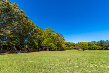 東京武蔵野 小金井公園の風景
