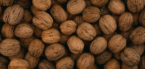 Background and texture of whole walnut. Panorama.