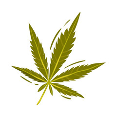 Cannabis Detailed Leaf Vector Illustrated Object Isolated On White Background