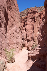 Fototapeta premium Quebrada de las Conchas in the Calchaqui Valley, Argentina