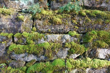Alte Steinmauer mit Moos bewachsen