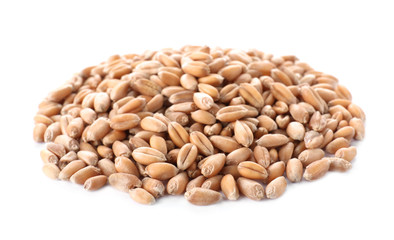 Pile of wheat grains on white background. Cereal crop