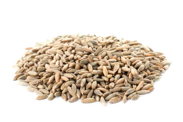 Pile of rye grains on white background. Cereal crop