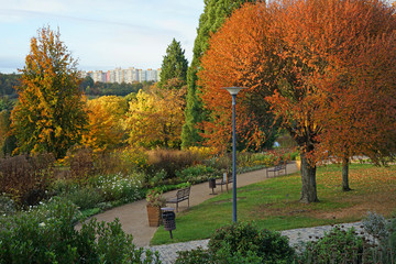 Naklejka premium Autumn in botanical garden park, Prague, Czech Republic