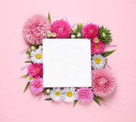 Flat lay composition with beautiful aster flowers and blank card on pink background. Space for text