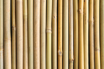Fototapeta premium Dry bamboo sticks as background, top view