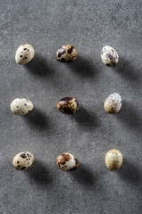 Quail eggs on a gray concrete surface. Top view.