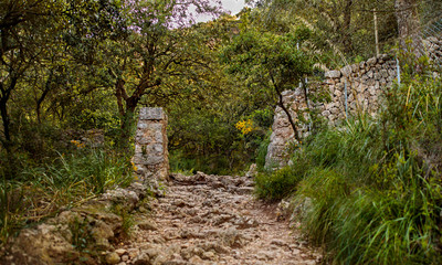 Puig des Caragol Sierra de Trmunatan, Mallorca