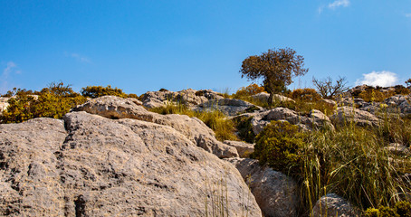 Puig des Caragol Sierra de Trmunatan, Mallorca