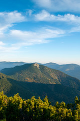 beautiful mountains covered with forest and alpine pine under blue sky