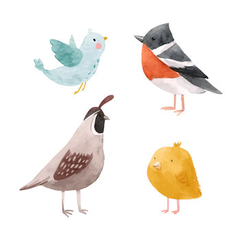 Cute vector watercolor chick lark quail bird illustration set for children print