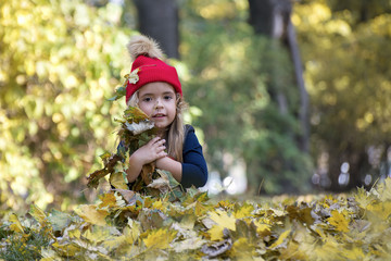 Portrait of a little girl playing in the leaves