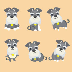 Set of Schnauzer dog cartoon vector illustration..