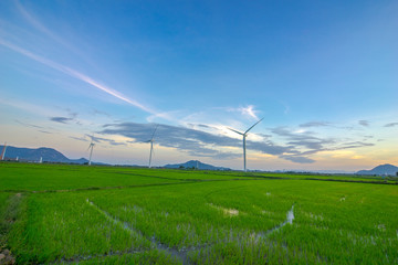 Fototapeta na wymiar wind power in Binh thuan, vietnam