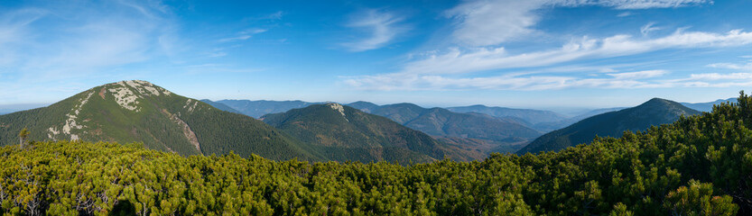Fototapeta premium beautiful panorama with alpine pine and mountains under blue sky