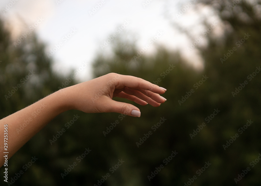 Wall mural womans hand on background of green forest