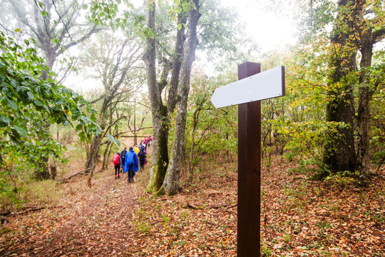 Wooden track pointer on hike trail in forest