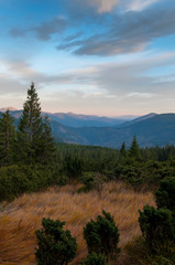 Beautiful colorful sky in mountains against the background of mountain meadows and green forest