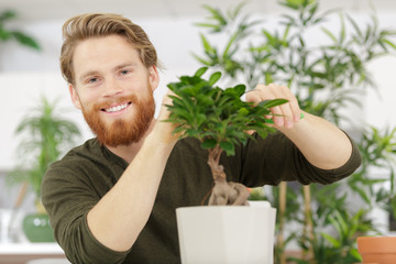 happy man forms the crown of small ornamental bonsai tree