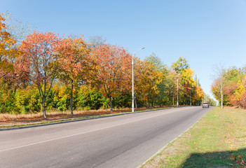 Naklejka premium Roadway and trees with autumn leaves on the sides