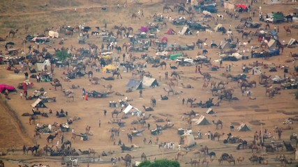 Desert Camel Festival India Top View
