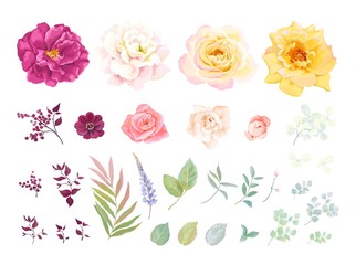 Flowers set elements. Vector floral illustration roses, leaves and branches in rustic style. Tender flowers for your template design.