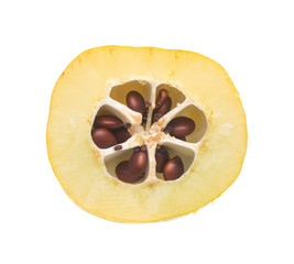 fruits of decorative japanese quince on a white background
